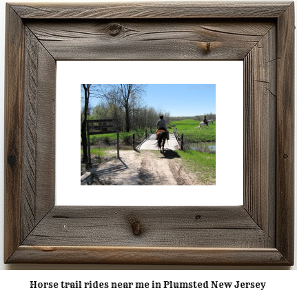 horse trail rides near me in Plumsted, New Jersey